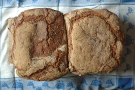 Nussbrot, Roggenbrot/(Sauerteig) Nussbrot, Roggenbrot/(Sauerteig)
