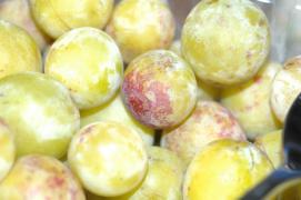 Kriecherl (Griecherl)/Austrian sour plums Kriecherl (Griecherl)/Austrian sour plums