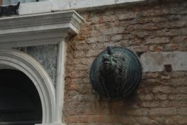 Wild Brass Boar